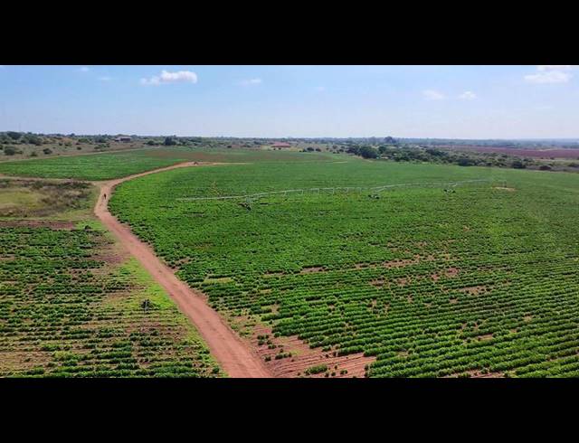 FARM FOR SALE IN VASFONTEIN